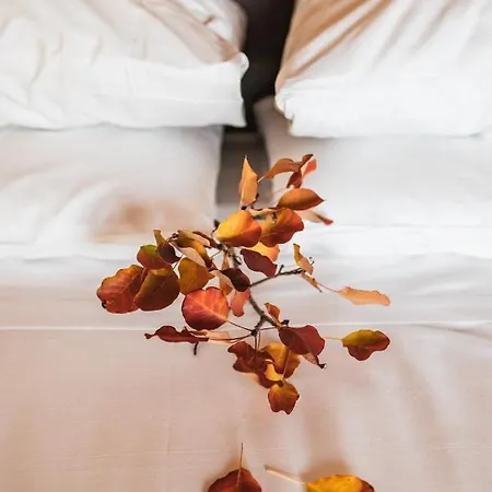 مزرعة للإقامة Encanto & Private